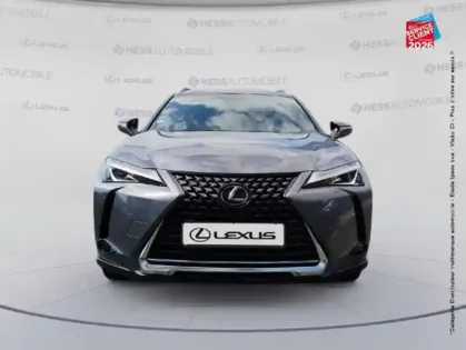 Photo 16 Lexus UX  300E PACK CAMERA CARPLAY