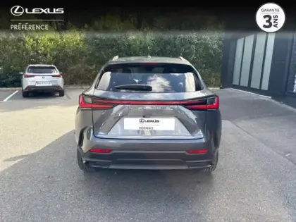 Photo 3 Lexus Nx  450h+ Executive 4WD MY25