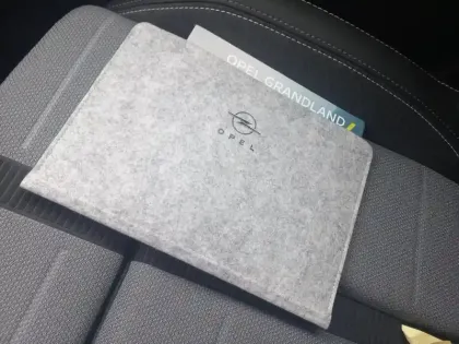 Photo 15 Opel Grandland  1.2 Turbo Hybrid 136 ch e-DCT6 GS