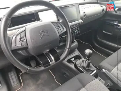 Photo 14 Citroën C4 Cactus  PureTech 110ch S/S Origins E6.d GPS Carplay