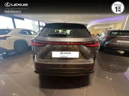 Photo 3 Lexus Nx  450h+ Luxe 4WD MY24