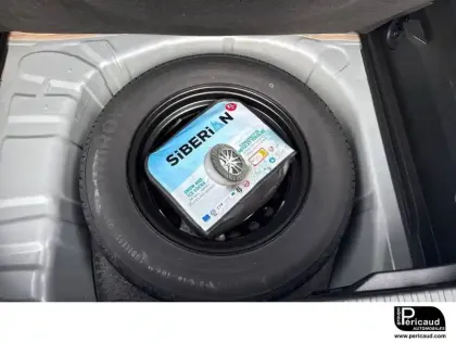 Photo 36 Renault Captur  TCe 100