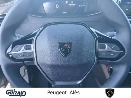 Photo 17 Peugeot 2008  100 S&S BVM6