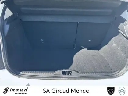 Photo 76 Citroën C3  PureTech 110 S&S BVM6