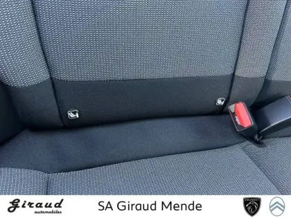 Photo 50 Citroën C3 Gén. III Ph2 Shine 5