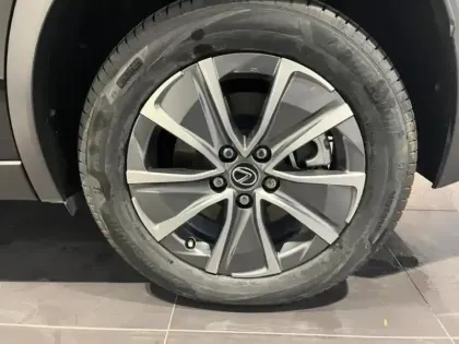 Photo 14 Lexus UX  300e Pack