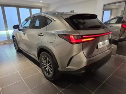Photo 13 Lexus Nx  450h+ Luxe 4WD