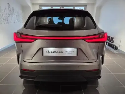 Photo 14 Lexus Nx  450h+ Luxe 4WD