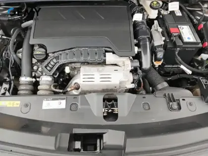 Photo 52 Peugeot 2008  PureTech 100 S&S BVM6