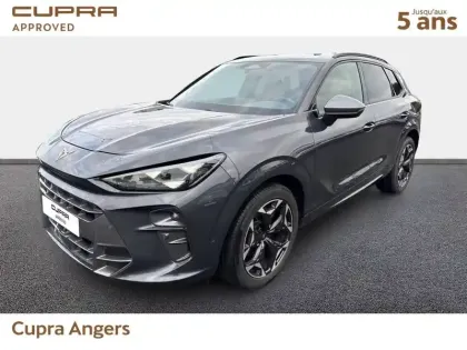 Photo Cupra Terramar V