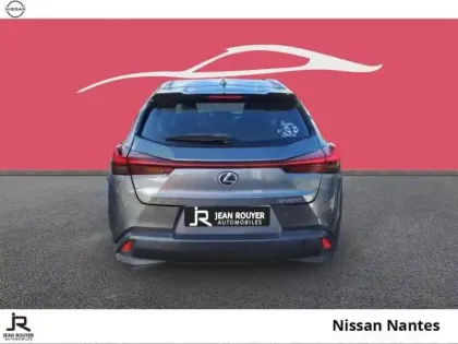 Photo 4 Lexus UX  250h 2WD Pack MY20