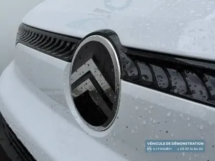 Photo 29 Citroën Berlingo  VAN M 650KG BLUEHDI 100 S&S BVM6