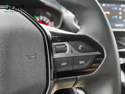 Photo 48 Peugeot 208  BlueHDi 100 S&S BVM6