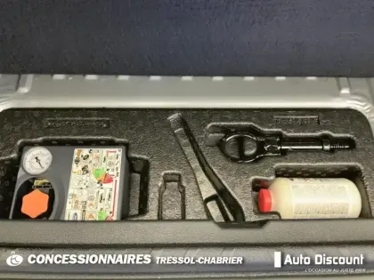 Photo 26 Ford Ecosport  1.0 EcoBoost 125ch S&S BVM6 Titanium