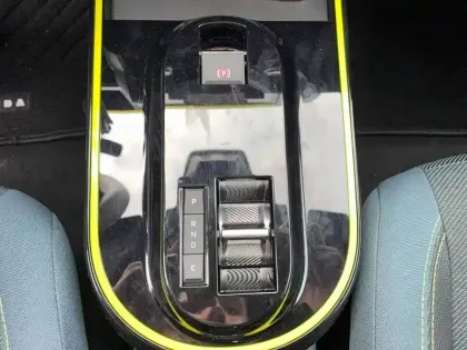 Photo 21 Fiat Grande Panda  e 83ch