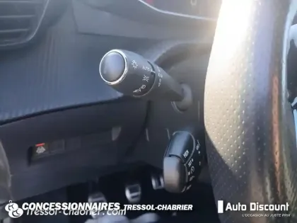 Photo 16 Peugeot 2008  BlueHDi 100 S&S BVM6 GT Line