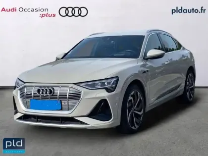 Photo 18 Audi E-tron Gén. I Ph1 S line 5