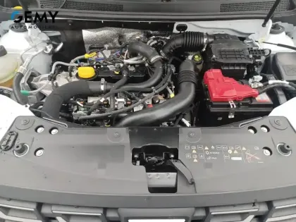 Photo 39 Dacia Duster  ECO-G 100 4x2