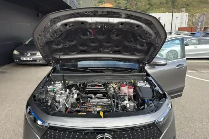 Photo 40 Mercedes EQB  250+
