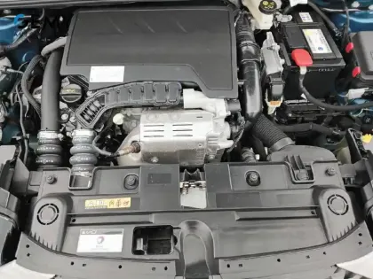 Photo 37 DS DS 3 DS3 Crossback PureTech 100 BVM6