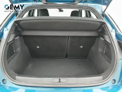 Photo 31 DS DS 3 DS3 Crossback PureTech 100 BVM6