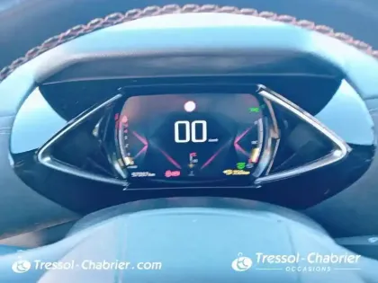 Photo 20 DS DS 3 DS3 Crossback BlueHDi 100 BVM6 Performance Line