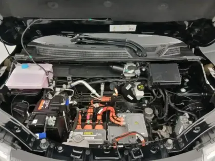 Photo 11 Dacia Spring  45ch Expression