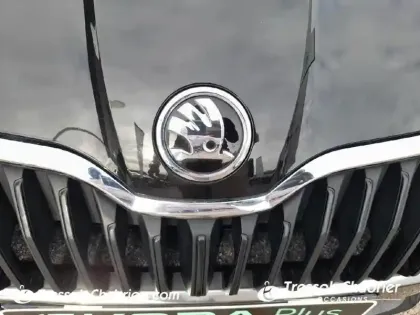 Photo 15 Skoda Fabia  1.0 TSI 95 ch BVM5 Edition