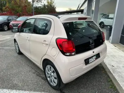 Photo 5