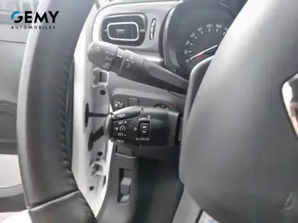 Photo 51 Citroën C3 Gén. III Ph2 Shine 5