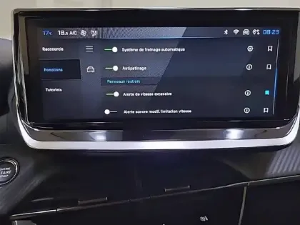 Photo 21 Peugeot 2008  Electrique 54 kWh 156 ch