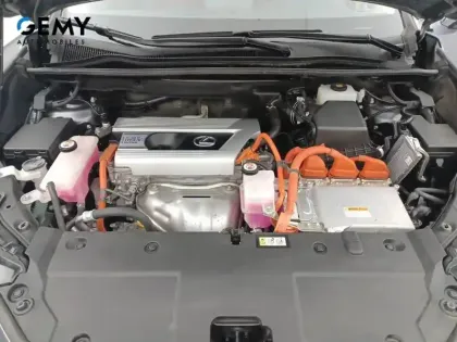 Photo 70 Lexus Nx  300h 4WD