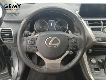 Photo 45 Lexus Nx  300h 4WD