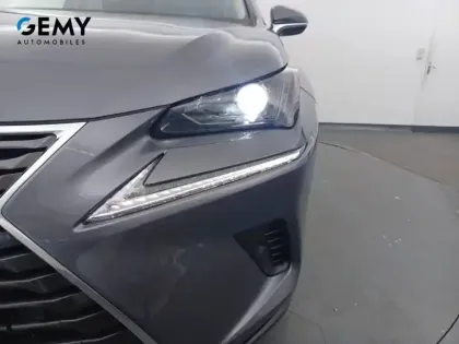 Photo 77 Lexus Nx  300h 4WD