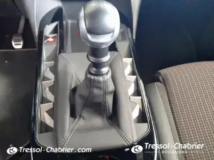 Photo 19 DS DS 3 DS3 Crossback PureTech 100 BVM6 Performance Line