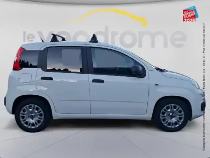 Photo 18 Fiat Panda  1.0 70ch BSG S&S City Cross Elysia Euro6D