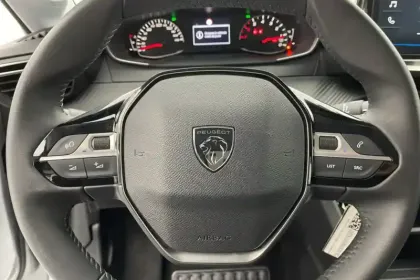 Photo 42 Peugeot 208  100 S&S BVM6