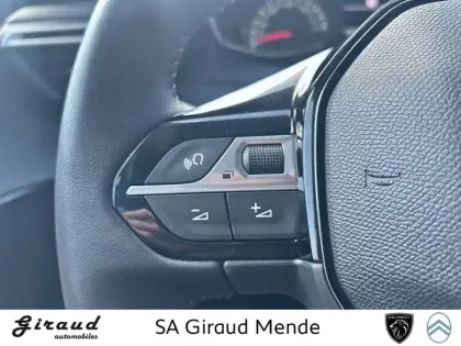 Photo 19 Peugeot 208 Gén. II Ph1 NG Style 5