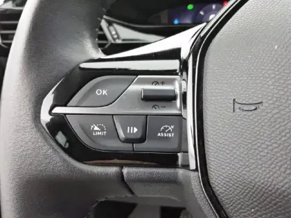 Photo 44 Peugeot 308  PureTech 110ch S&S BVM6