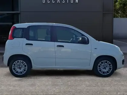 Photo 27 Fiat Panda Gén. III Ph1 NG City Cross 5