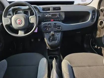 Photo 31 Fiat Panda Gén. III Ph1 NG City Cross 5