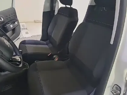 Photo 33 Citroën C3  PureTech 110 S&S BVM6