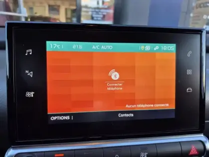 Photo 29 Citroën C4 Cactus PureTech 110 S&amp;S EAT6 Feel Business