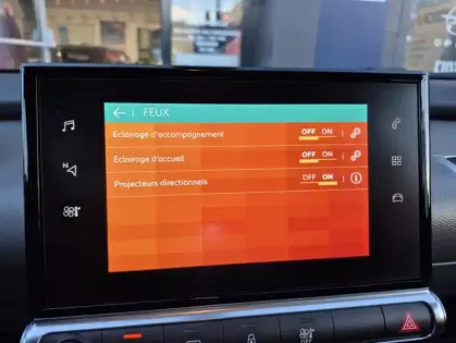 Photo 26 Citroën C4 Cactus PureTech 110 S&amp;S EAT6 Feel Business