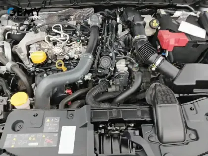 Photo 69 Renault Arkana  TCe 160 EDC FAP - 21B