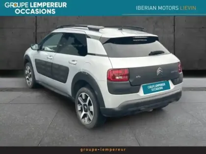 Photo 10 Citroën C4  Cactus PureTech 110 Shine S&S