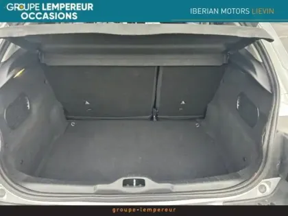 Photo 13 Citroën C4  Cactus PureTech 110 Shine S&S