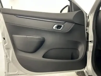 Photo 19 Dacia Spring  Achat Intégral