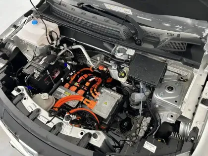 Photo 30 Dacia Spring  Achat Intégral