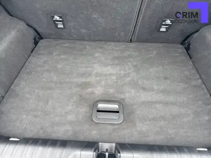 Photo 71 Ford Puma  1.0 Flexifuel 125 ch mHEV S&S BVM6